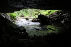 Cavern Lake Trail